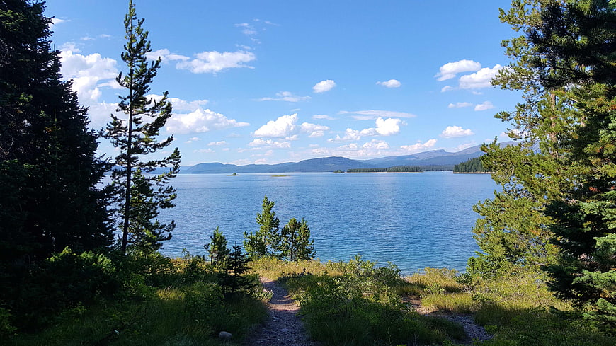 Scenic View Of Lake McDonald Through Pine Trees In Grand Teton National Park