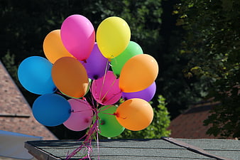 Colorful Balloon Cluster Tied To Rooftop Against Dark Foliage