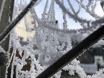 Close-up of intricate white frost crystals on a black wire fence