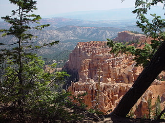 Bryce Canyon National Park Hoodoos and Pine Trees