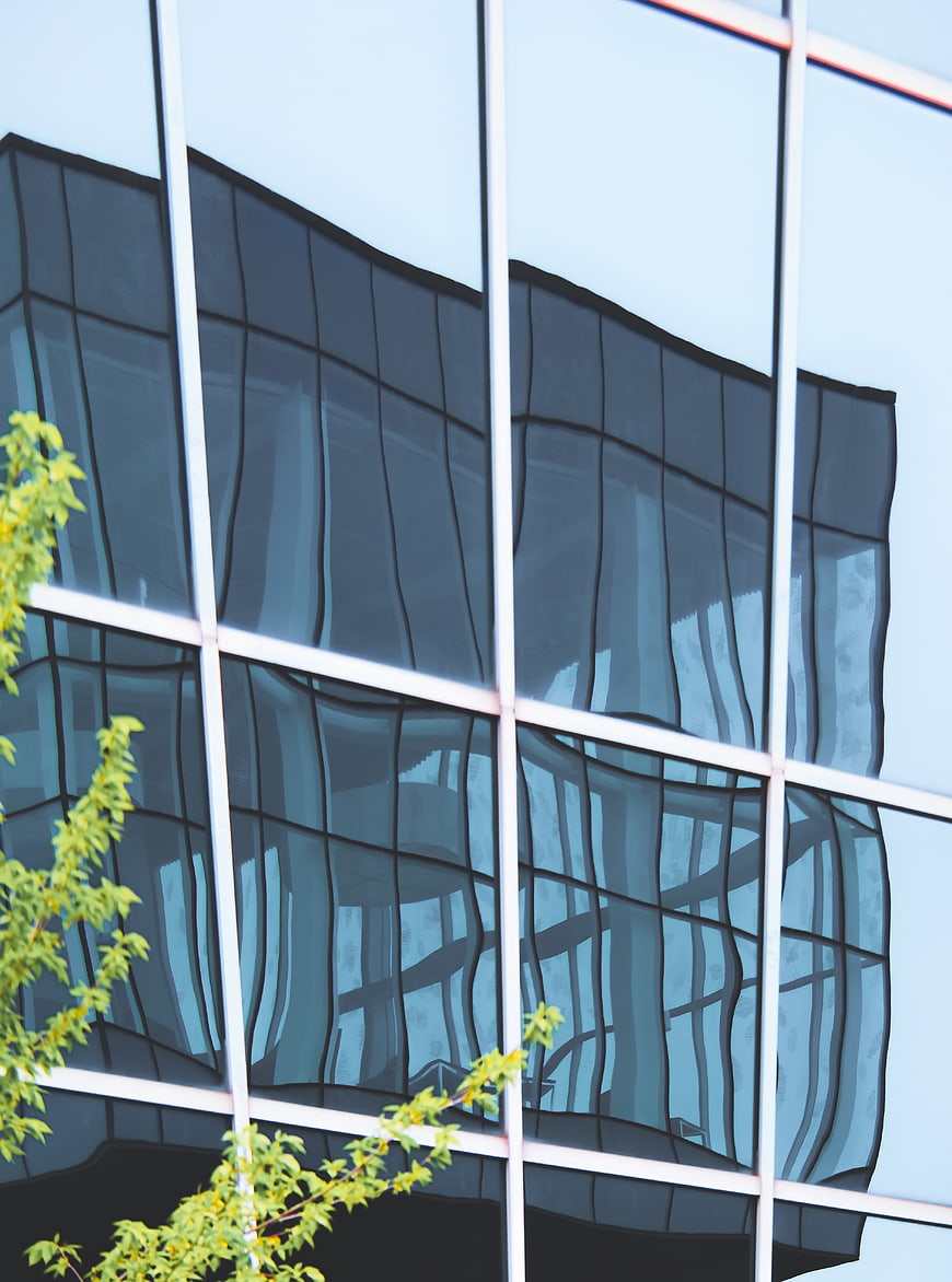 Modern Glass Building Facade with Reflections and Green Leaves