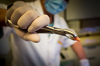 Dentist Holding Extracted Tooth With Forceps In Clinic