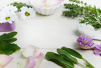 Natural Spa Ingredients with Herbs and Flowers on White Wood