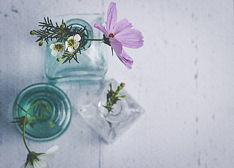 Minimalist Flat Lay of Purple Cosmos and White Flowers in Glass Vases