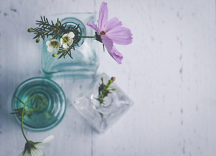 Minimalist Flat Lay of Purple Cosmos and White Flowers in Glass Vases