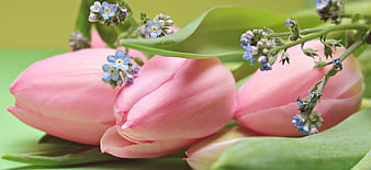 Pink Tulips and Blue Forget-Me-Nots Spring Floral Arrangement