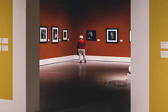 Senior woman viewing art in a museum gallery