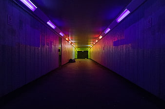 Colorful Neon Tunnel with Rainbow LED Lights