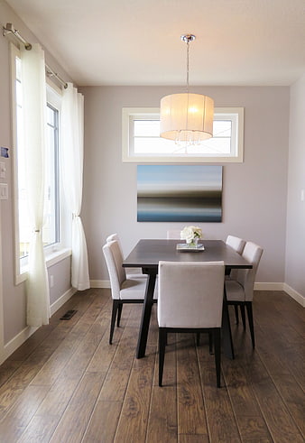 Modern Dining Room with Wooden Table and Pendant Light