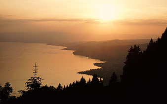 Golden sunset over a lake with silhouetted pine trees