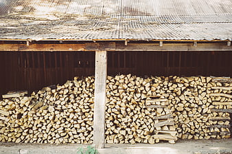 Stacked firewood under rustic corrugated metal roof