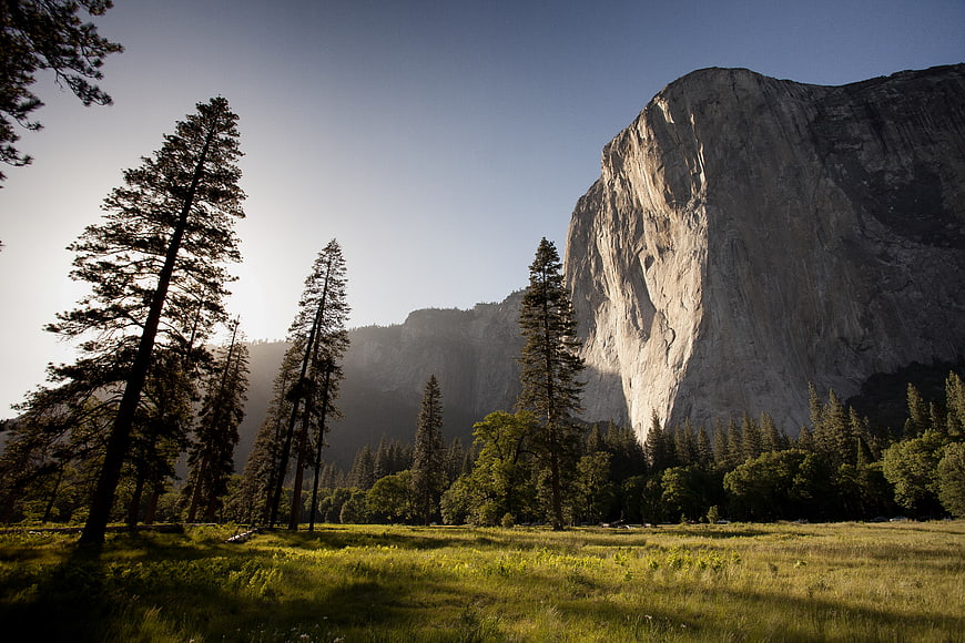 Majestic granite cliff and pine trees in a sunlit meadow