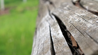 Close-up of weathered wood texture with green background