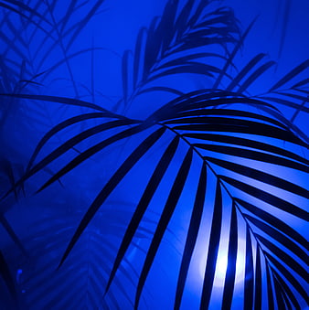 Blue Neon Palm Leaf Silhouette Background