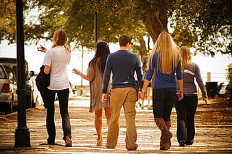 Group of Young Friends Walking Together on Tree-Lined Path