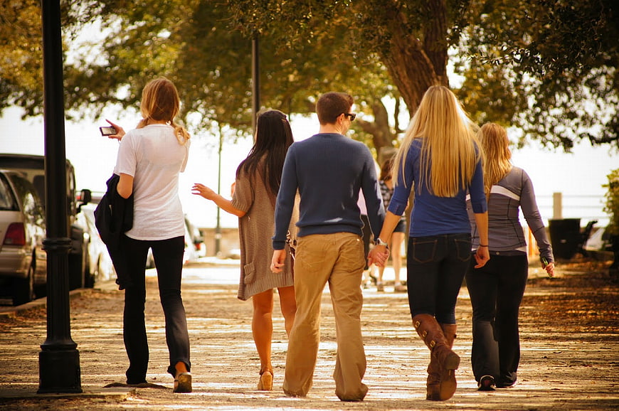 Group of Young Friends Walking Together on Tree-Lined Path