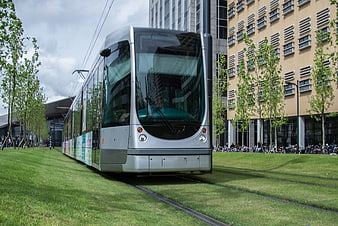 Modern silver tram on grass tracks in urban city