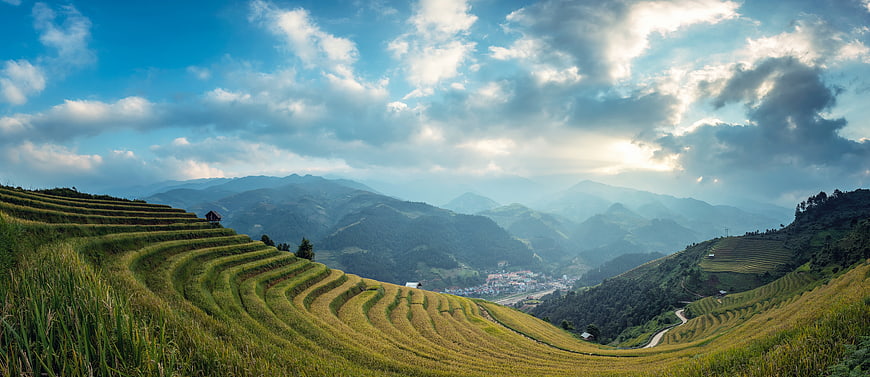 Panoramic View of Golden Rice Terraces in Mountainous Valley
