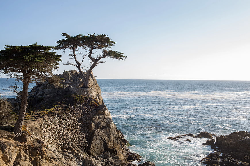 Lone Cypress Tree on Rocky Cliff Overlooking Pacific Ocean