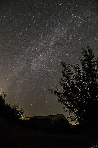 Milky Way Galaxy Over Rural Barn And Silhouetted Trees At Night