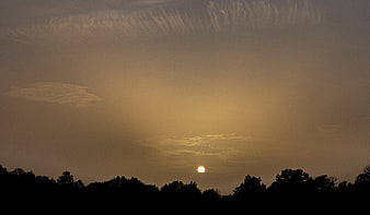 Golden sunset over silhouetted tree line with wispy clouds