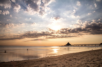 Serene Sunset Over Beach with Pier and Birds