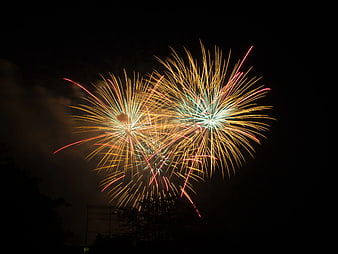 Golden and Red Fireworks Exploding in Night Sky