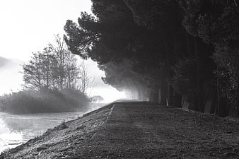 Misty Black and White Path Along River with Trees