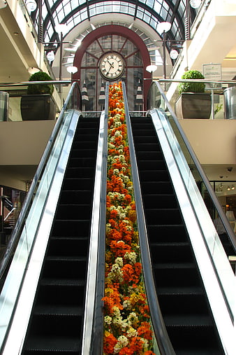 Escalator with Orange and White Floral Arrangement in Shopping Mall