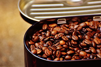 Close-up of roasted coffee beans in an open metal tin