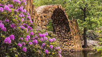 Historic stone bridge arch with blooming pink rhododendrons in a park