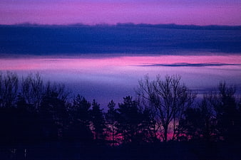 Purple and pink sunrise over silhouetted trees and clouds