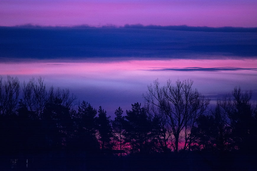 Purple and pink sunrise over silhouetted trees and clouds