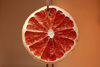 Dried Grapefruit Slice Hanging on String