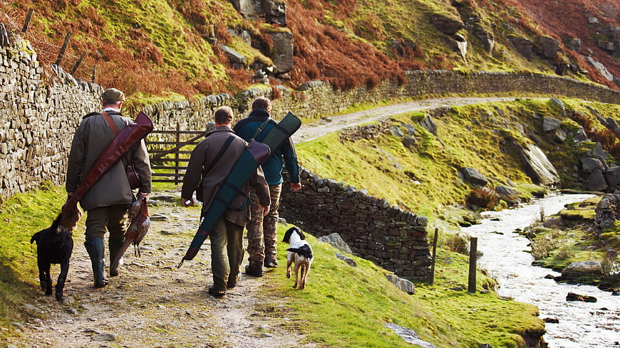 Three Hunters Walking with Dogs and Pheasants in Countryside