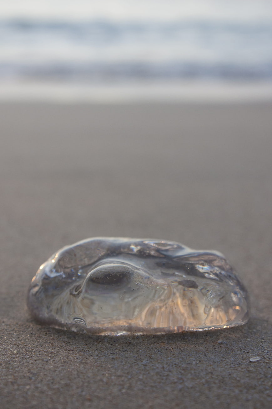Clear Sea Glass on Sandy Beach with Ocean Background