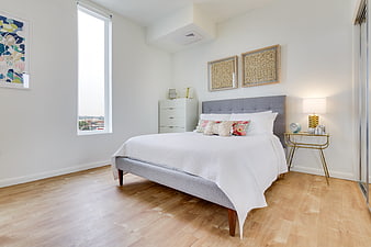 Modern Bedroom Interior With Gray Bed And White Walls