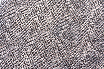 Macro Close-Up of Textured Reptile Skin Pattern