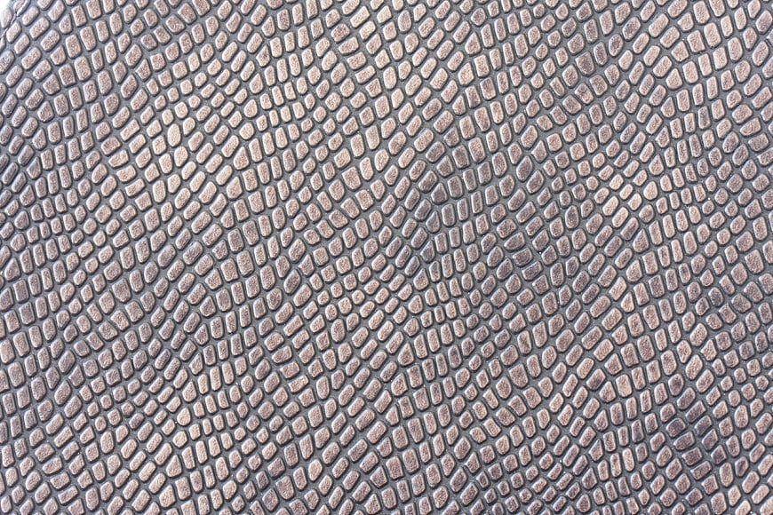 Macro Close-Up of Textured Reptile Skin Pattern