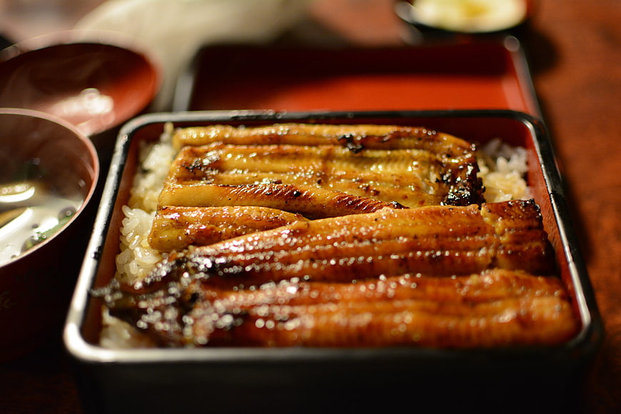 Glossy Grilled Eel Over Rice in Traditional Japanese Box