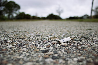 Cigarette butt lying on asphalt road surface