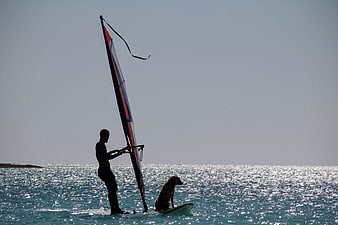 Man windsurfing with dog on board in ocean