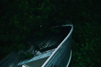 Dark moody abandoned boat in overgrown green foliage