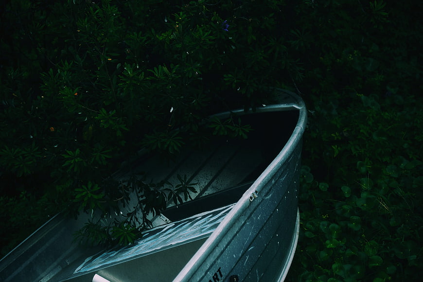 Dark moody abandoned boat in overgrown green foliage