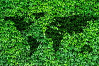 Green Ivy Leaves Pattern with Digital Glitch Effect