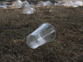 Plastic cup waste on dry grass environmental pollution