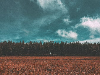 Dramatic Teal and Orange Landscape with Forest and Field