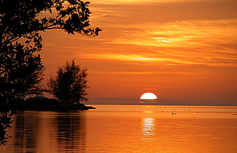 Vibrant Orange Sunset Over Calm Ocean With Silhouetted Trees