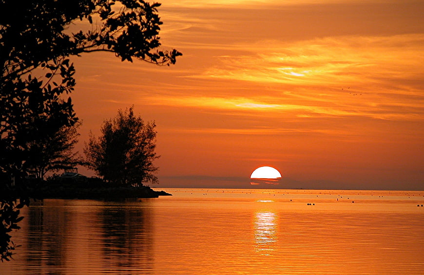Vibrant Orange Sunset Over Calm Ocean With Silhouetted Trees