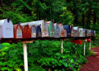 Row of colorful vintage mailboxes in lush forest